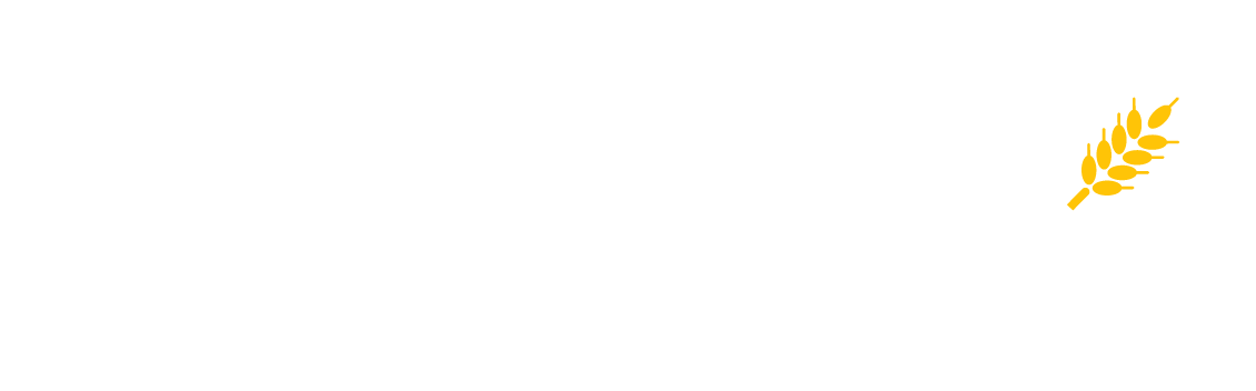 LIFE 100 - Logo